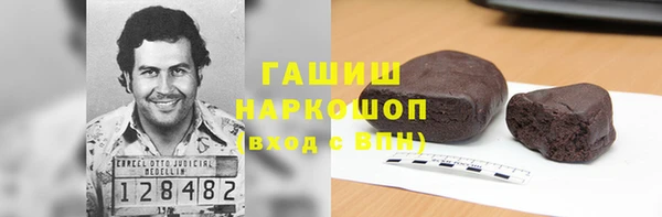 прущие грибы Гусиноозёрск